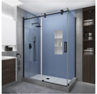 Aston Moselle 60-in x 75-in Clear 3/8-in Shower Glass Panel at