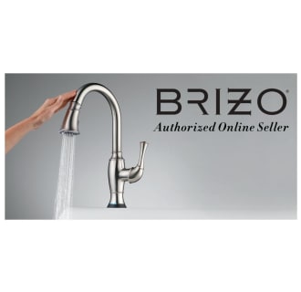 A thumbnail of the Brizo 84121 Alternate Image