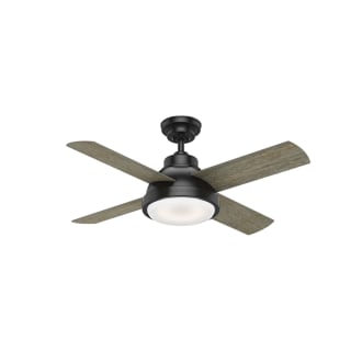 Clearance Ceiling Fans