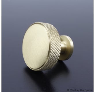 A thumbnail of the Century 12917 Satin Brass Close Up View