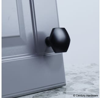 A thumbnail of the Century 10829 Century Hardware-10829-Black on grey door