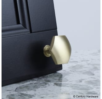 A thumbnail of the Century 10829 Century Hardware-10829-Brass on black door