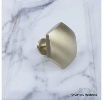 A thumbnail of the Century 10829 Century Hardware-10829-Brass side angle