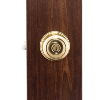 A thumbnail of the Copper Creek CK2040 Copper Creek-CK2040-Exterior Application in Polished Brass