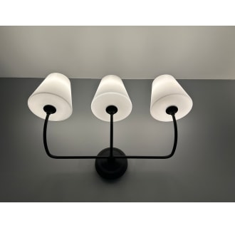 A thumbnail of the Crystorama Lighting Group 2443-OP Alternate Image