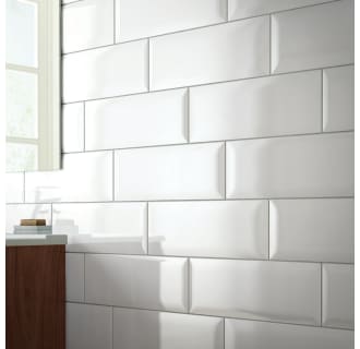 A thumbnail of the Daltile AP616P Alternate View