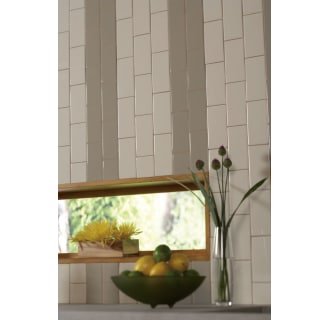 A thumbnail of the Daltile 01SCL4369P Daltile 01SCL4369P