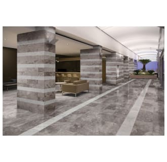 A thumbnail of the Daltile LCLADMSL Alternate View