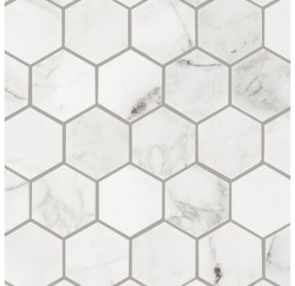 A thumbnail of the Daltile M2HEXMSL Alternate Image