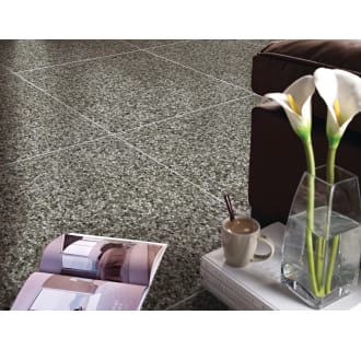 A thumbnail of the Daltile MD2424P Alternate View