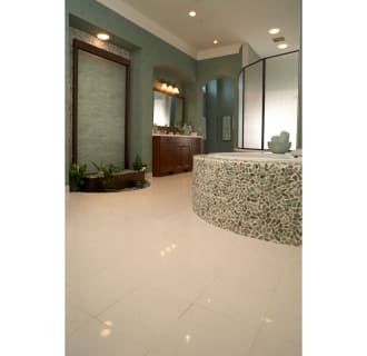 A thumbnail of the Daltile MMODERNMSL Alternate View