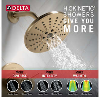 A thumbnail of the Delta T17T259-H2O Alternate Image