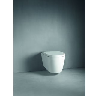 A thumbnail of the Duravit 253009-DUAL Alternate View