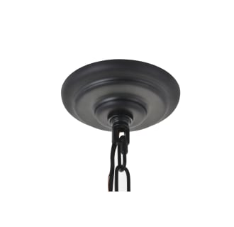 A thumbnail of the Elegant Lighting LD5016D17 Canopy