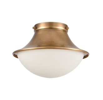 A thumbnail of the Elk Lighting 89125/1 Alternate View