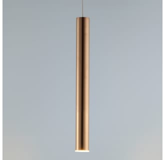 A thumbnail of the ET2 E10011 Alternate Image