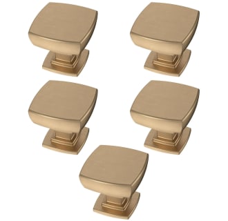 A thumbnail of the Franklin Brass P29542Z-B-5PACK Alternate Image