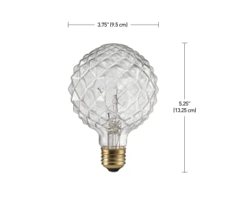 A thumbnail of the Globe Electric 84637 Alternate View