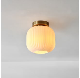 A thumbnail of the Globe Electric 91005472 Alternate Image