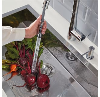A thumbnail of the Grohe 32 226 3 Alternate Image