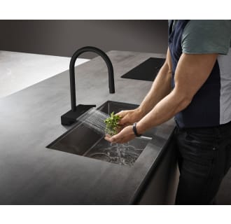 A thumbnail of the Hansgrohe 73831 Alternate Image