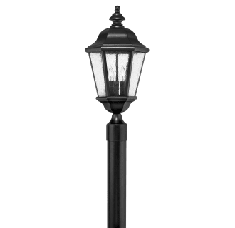 A thumbnail of the Hinkley Lighting 1671-LL Light with Pole - BK