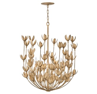 A thumbnail of the Hinkley Lighting 30016 Chandelier with Canopy - BNG
