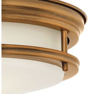 A thumbnail of the Hinkley Lighting 3304-LED Alternate View