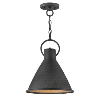 A thumbnail of the Hinkley Lighting 3557 Pendant with Canopy - DZ
