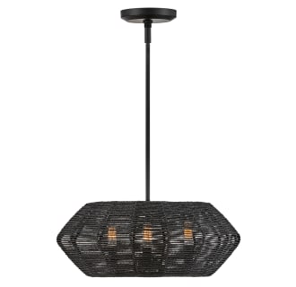 A thumbnail of the Hinkley Lighting 40383 Pendant with Canopy - BK
