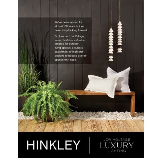 A thumbnail of the Hinkley Lighting 1002-LV Alternate Image