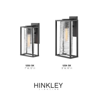 A thumbnail of the Hinkley Lighting 1254 Alternate Image