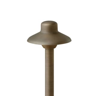 A thumbnail of the Hinkley Lighting 16050-LL Alternate Image