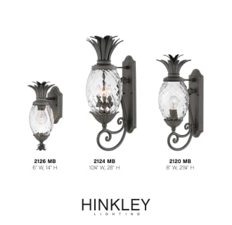 A thumbnail of the Hinkley Lighting 2124 Alternate Image