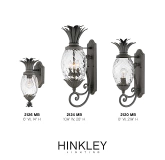 A thumbnail of the Hinkley Lighting 2126 Alternate Image