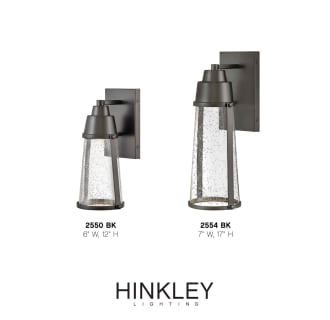 A thumbnail of the Hinkley Lighting 2550 Alternate Image