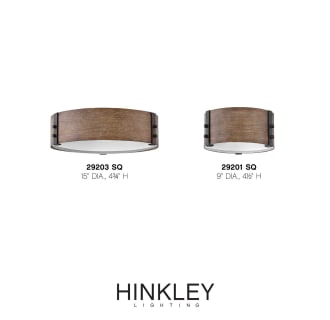 A thumbnail of the Hinkley Lighting 29203 Alternate Image