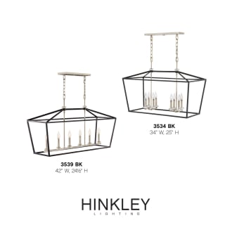 A thumbnail of the Hinkley Lighting 3534 Alternate Image
