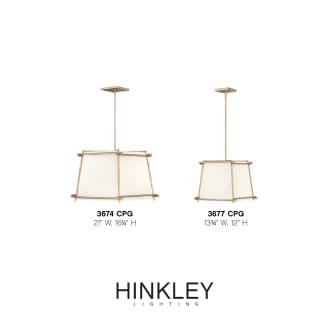 A thumbnail of the Hinkley Lighting 3677 Alternate Image