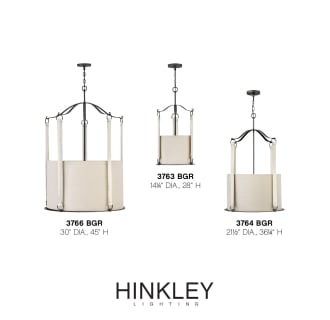 A thumbnail of the Hinkley Lighting 3763 Alternate Image