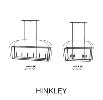 A thumbnail of the Hinkley Lighting 4054 Alternate Image