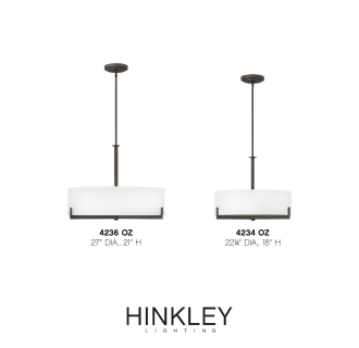 A thumbnail of the Hinkley Lighting 4236 Alternate Image