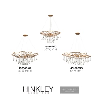 A thumbnail of the Hinkley Lighting 45306 Alternate Image