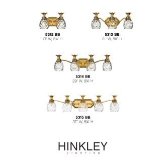 A thumbnail of the Hinkley Lighting H5313 Alternate Image