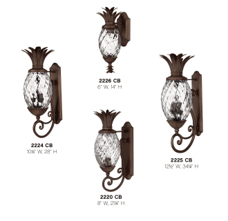 Hinkley Lighting H2226 Outdoor Wall Light - Build.com Em sẽ không chết, em hứa. cp: