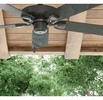 A thumbnail of the Honeywell Ceiling Fans Belmar Alternate Image