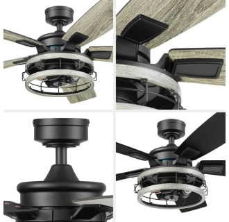 A thumbnail of the Honeywell Ceiling Fans Carnegie Alternate Image