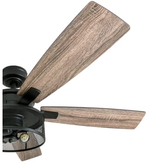 A thumbnail of the Honeywell Ceiling Fans Carnegie Alternate Image