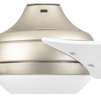 A thumbnail of the Honeywell Ceiling Fans Neyo Alternate Image