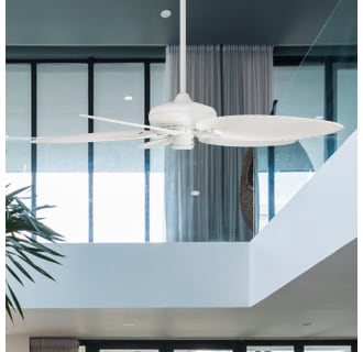 A thumbnail of the Honeywell Ceiling Fans Palm Island Alternate Image